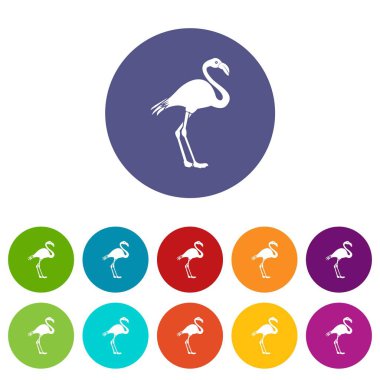 Flamingo Icons set