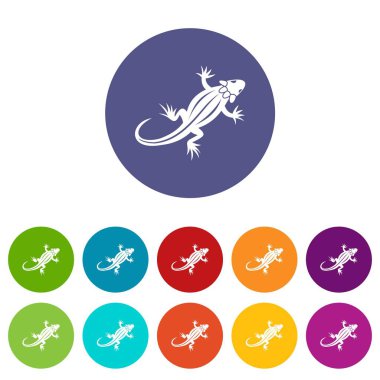 Kertenkele Icons set