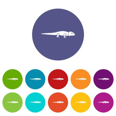 İguana Icons set