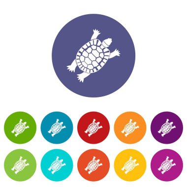 Kaplumbağa Icons set