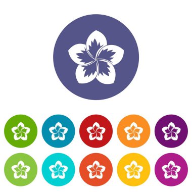 Frangipani çiçek Icons set