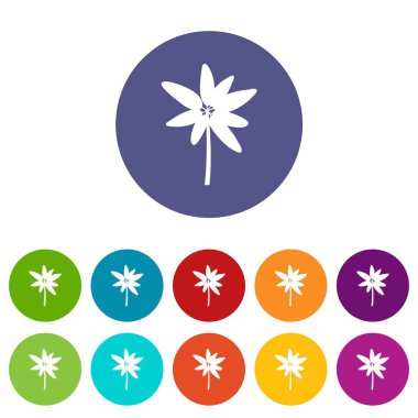 Uzun palmiye Icons set