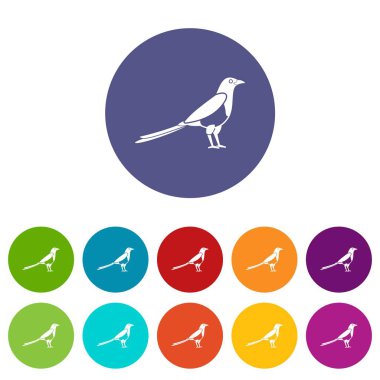 Kuş magpie Icons set