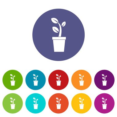 Tencereye set simgeleri Filiz