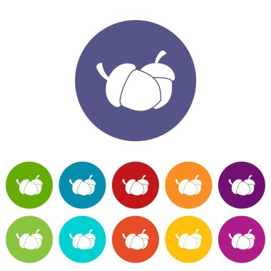 Meşe palamudu Icons set