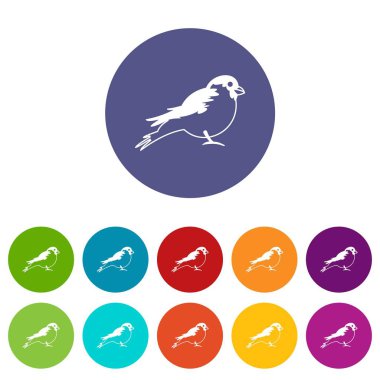 Şakrak kuşu Icons set