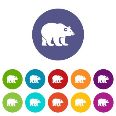 Ayı Icons set