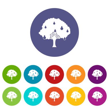 Armut ağacı ile armut Icons set