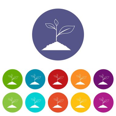 Bitki yetiştirme Icons set