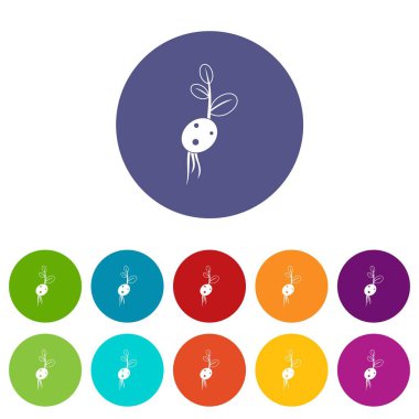 Patates Filiz kökünden Icons set