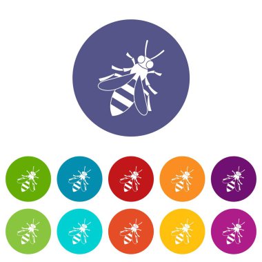 Bal arısı Icons set