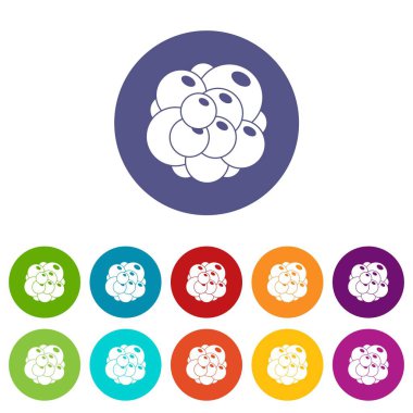 Yumurtalık Icons set