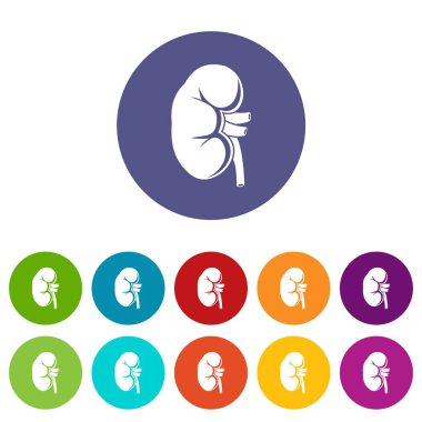Böbrek Icons set