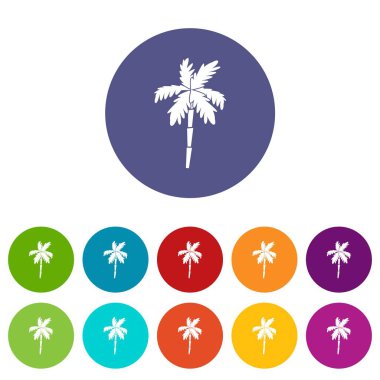 Palmiye ağacı Icons set