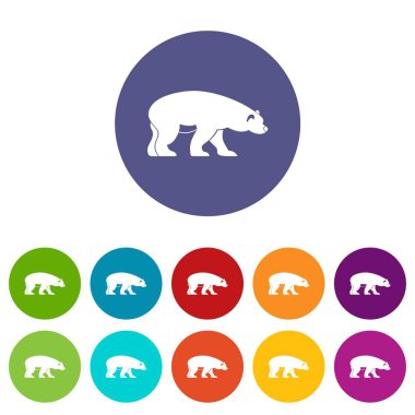 Ayı Icons set