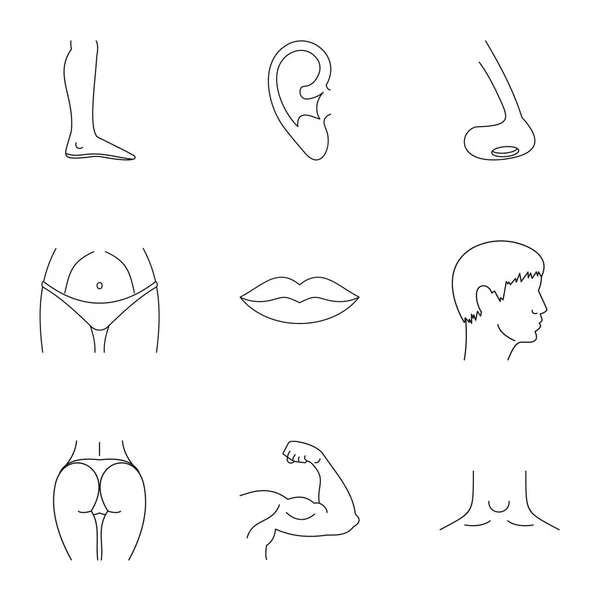 Parties du corps icônes ensemble, style contour — Image vectorielle