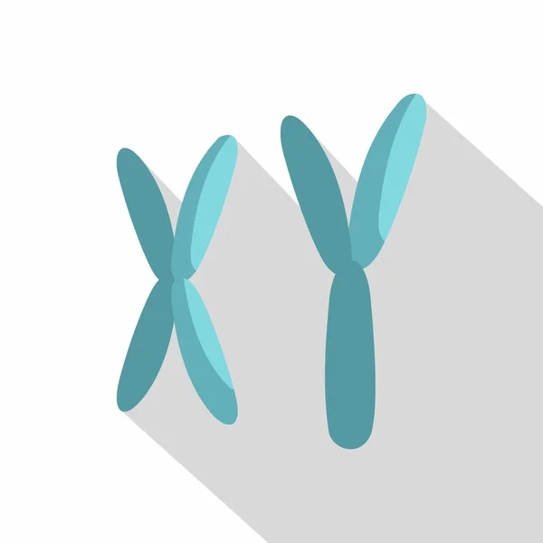 X および Y 染色体アイコン、フラット スタイル — ストックベクタ