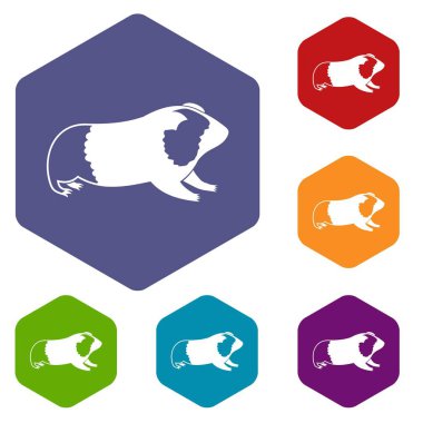Hamster Icons set