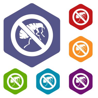 Gravür böcek Icons set