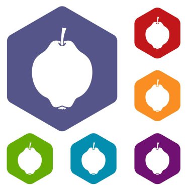 Ayva meyve Icons set