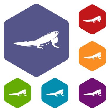 İguana Icons set