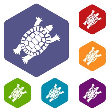 Kaplumbağa Icons set