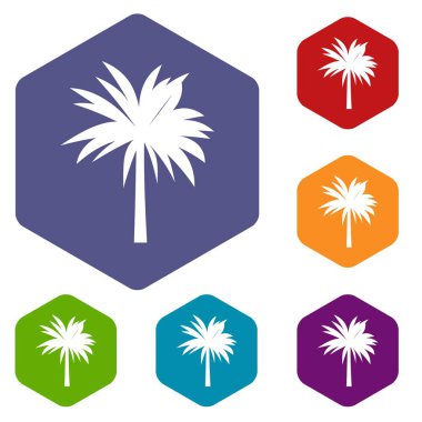 Palm Icons set