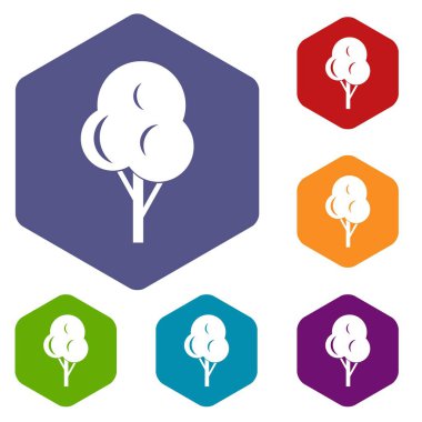 Sonbahar ağaç Icons set