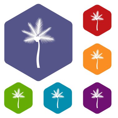 Palm butia capitata Icons set