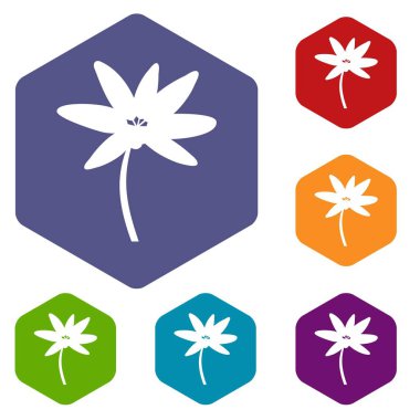 Tropikal palmiye ağacı Icons set