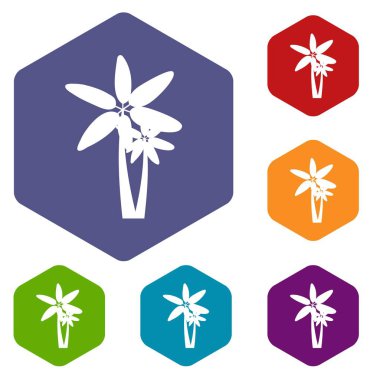 İki palmiye ağaçları Icons set