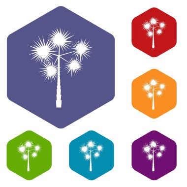 Palm chamaerops Icons set