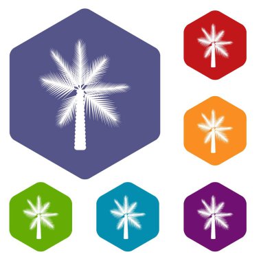 Büyük palmiye ağacı Icons set