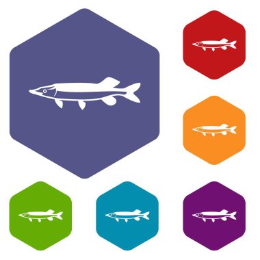 Saury Icons set