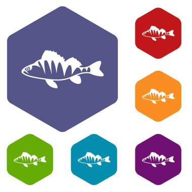 Tatlısu levreği, Perca fluviatilis Icons set