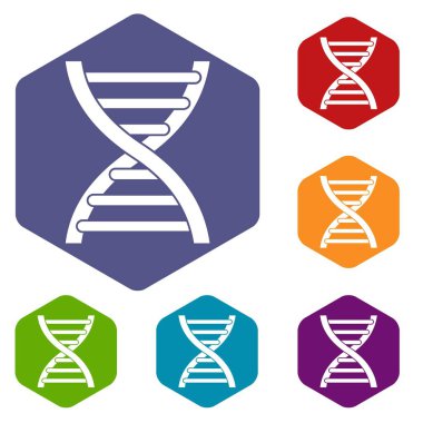 DNA Icons set