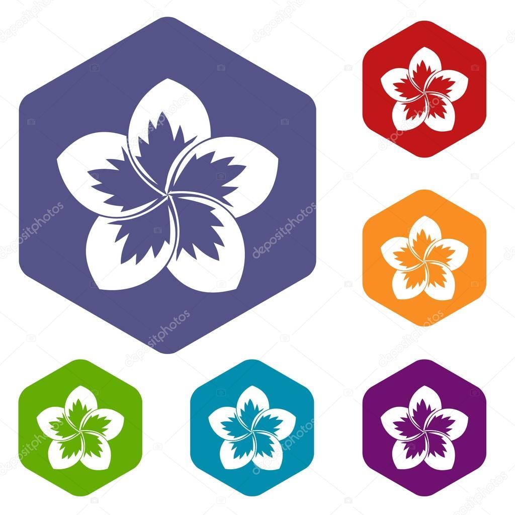 Frangipani flower icons set