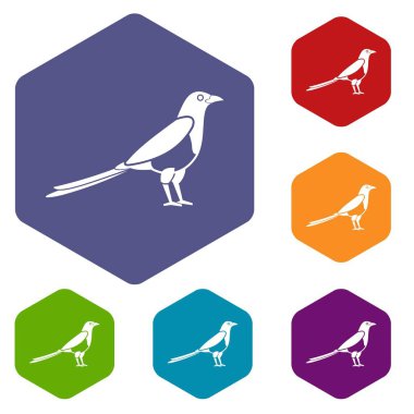 Kuş magpie Icons set