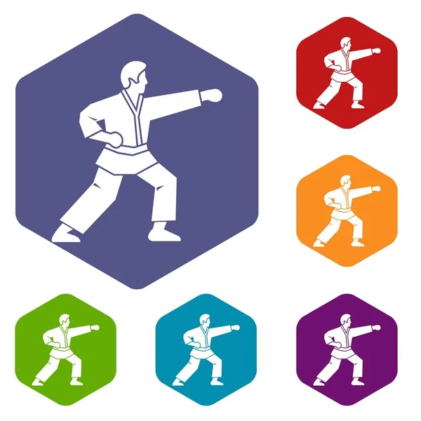 Aikido savaşçı Icons set — Stok Vektör
