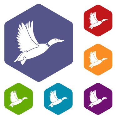 Ördek Icons set