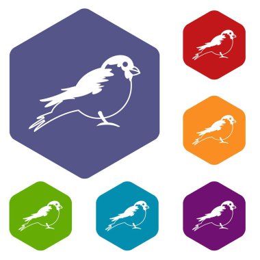 Şakrak kuşu Icons set