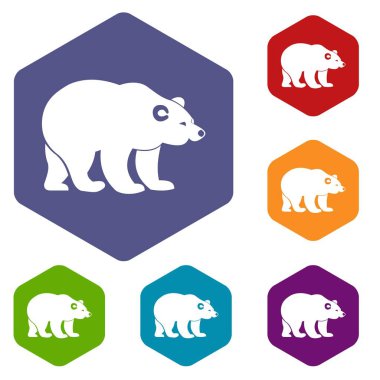Ayı Icons set