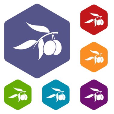 Zeytin ağacı dalı iki zeytin simgelerle ayarla