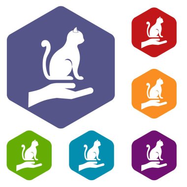 Bir kedi Icons set tutan el