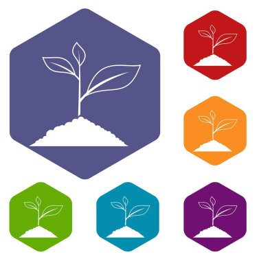 Büyüyen bitki Icons set