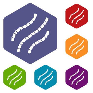Escherichia coli Icons set