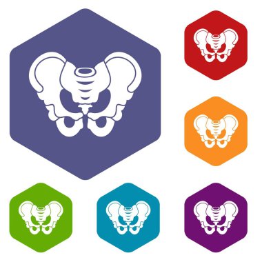 Leğen kemiği Icons set