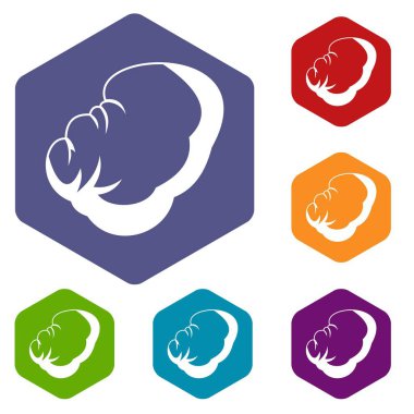 Dalak Icons set
