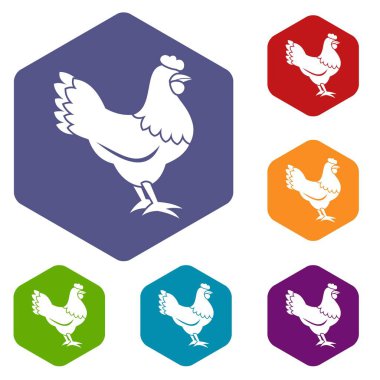 Tavuk Icons set