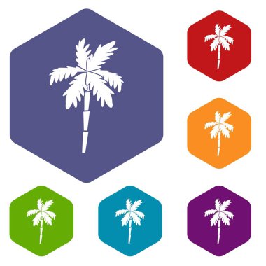 Palmiye ağacı Icons set